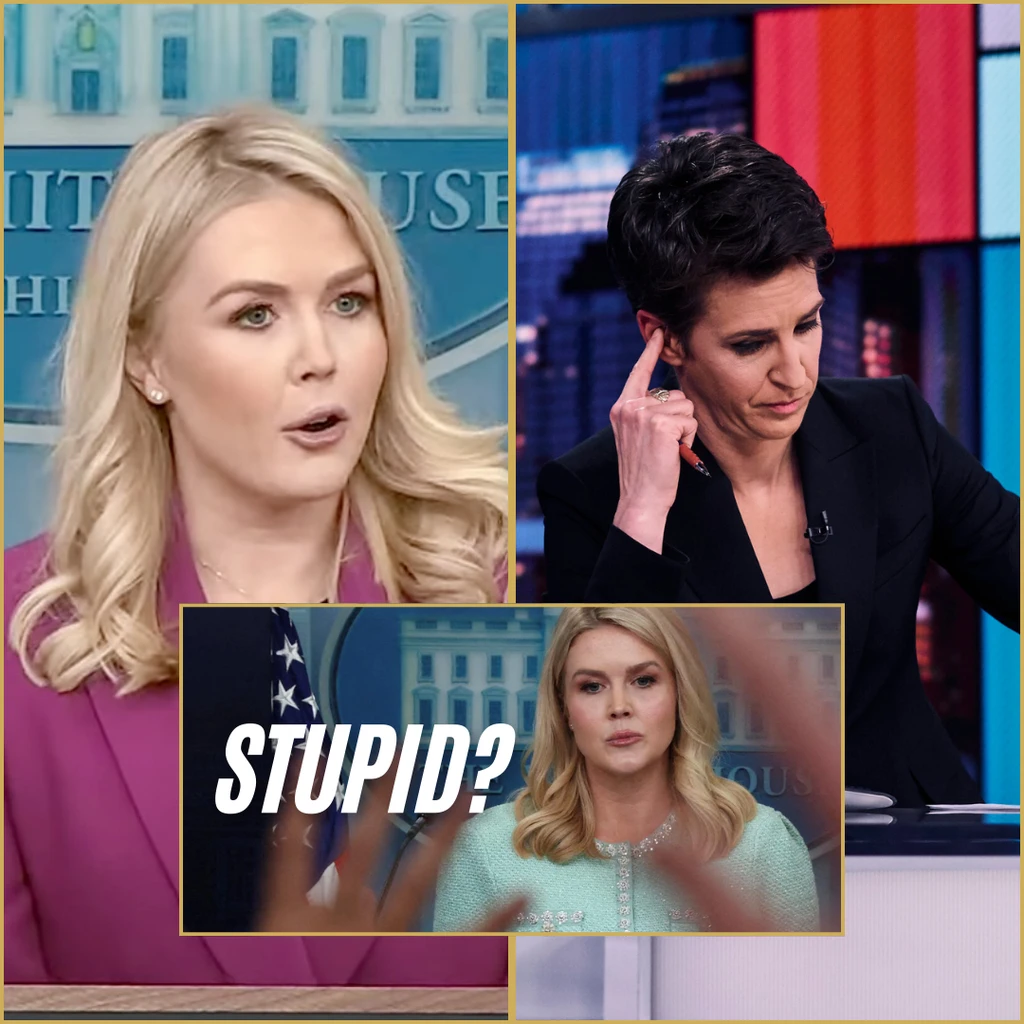 Karoline Leavitt SH0CKS Audience with Explosive Rant at Rachel Maddow ...